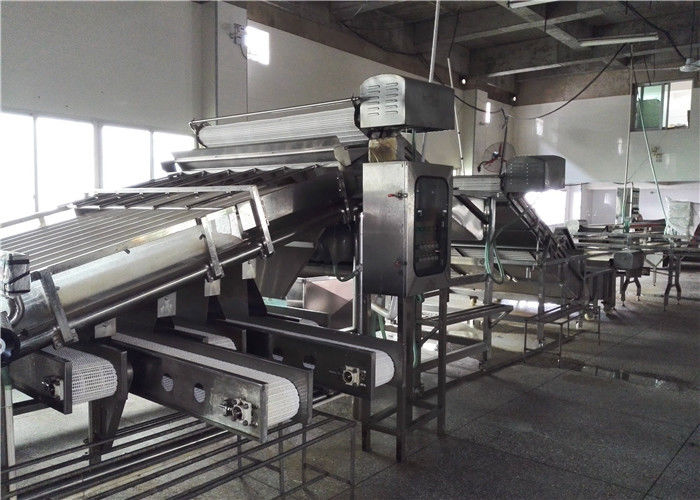 Xiamen Tongzhonghe Imp & Exp Co., Ltd. cadena de producción del fabricante