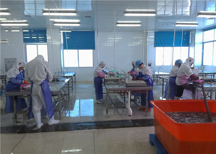 Xiamen Tongzhonghe Imp & Exp Co., Ltd. cadena de producción del fabricante